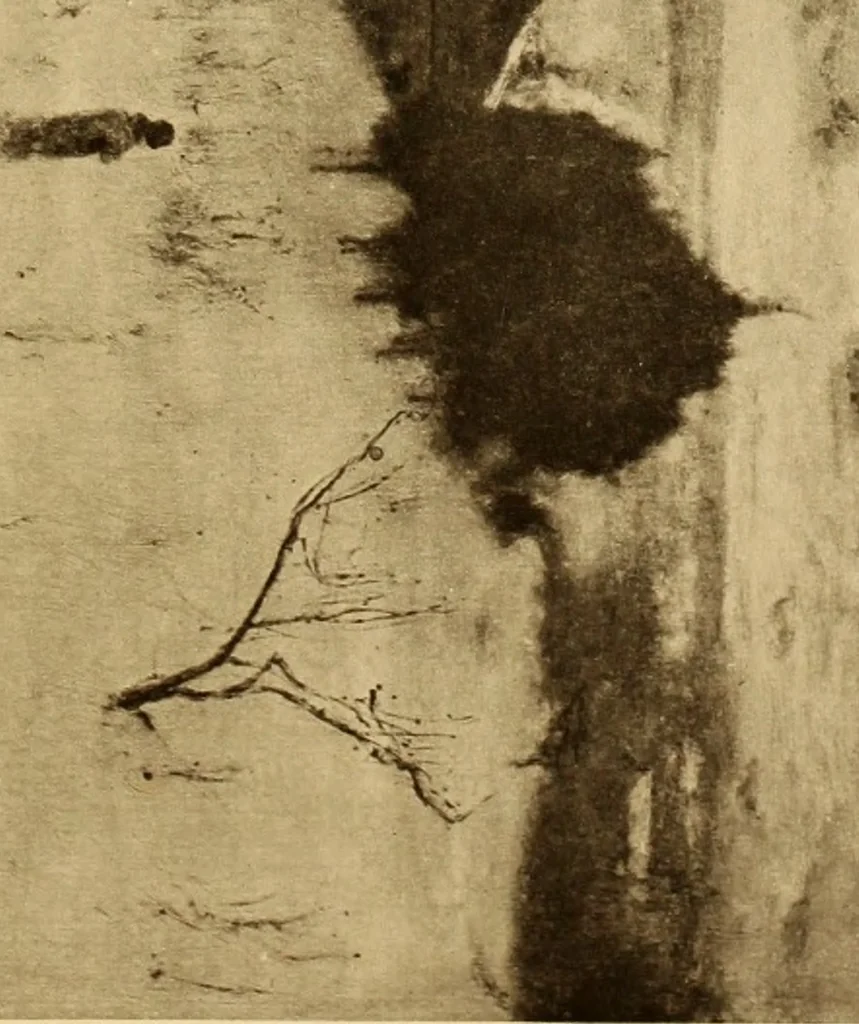An illustration from Fifty paintings by George Inness, 1913, leaf 66