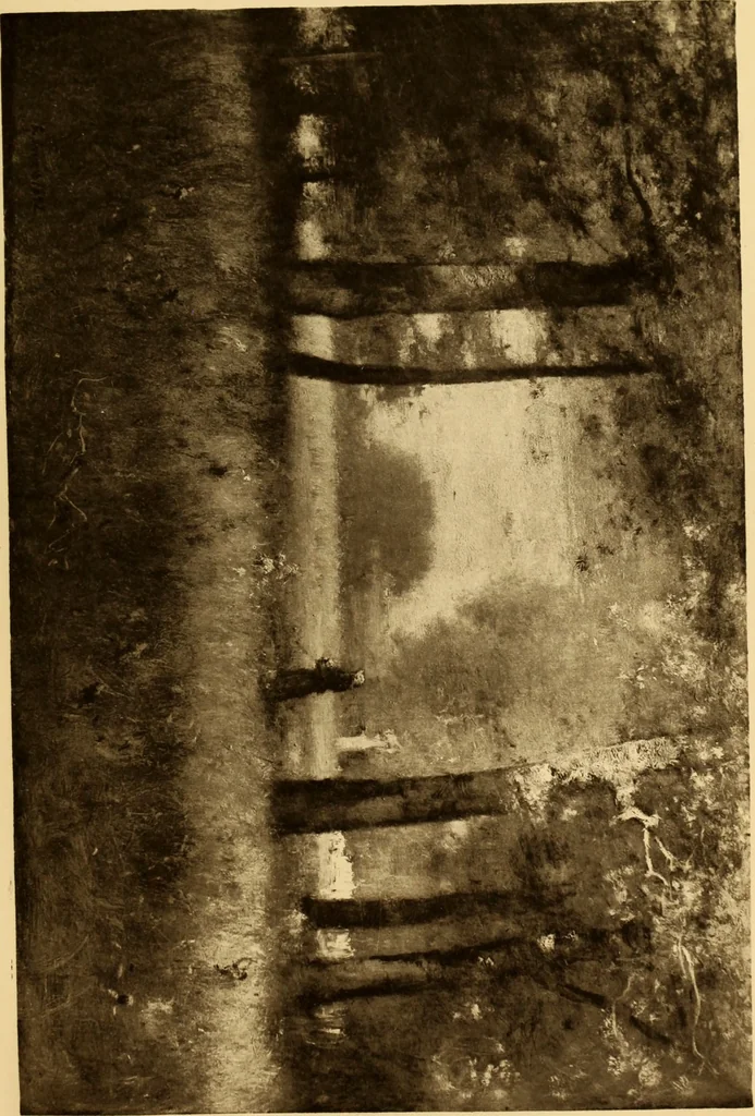 An illustration from Fifty paintings by George Inness, 1913, leaf 93