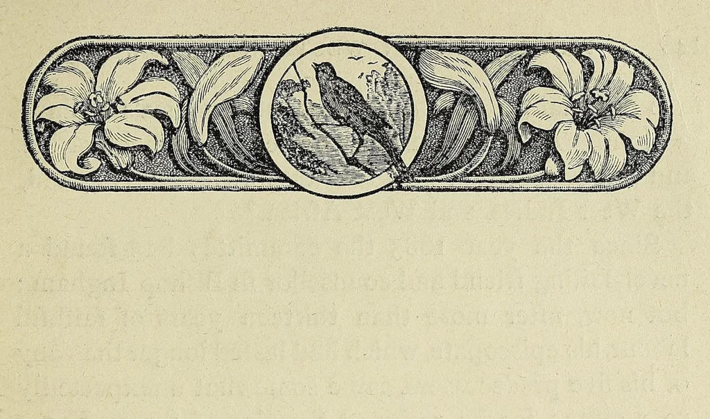 An illustration from Fifty years in Western Africa: being a record of the work of the West Indian Church on the banks of the Rio Pongo, 1900, leaf 153