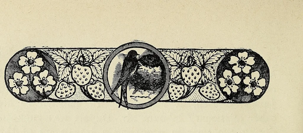 An illustration from Fifty years in Western Africa: being a record of the work of the West Indian Church on the banks of the Rio Pongo, 1900, leaf 72