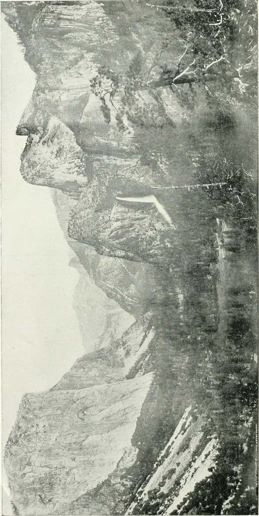 An illustration from Fifty years of Odd Fellowship in California : commemorating the founding of the Order by the instituting of California Lodge No. 1, on September ninth, eighteen hundred and forty-nine, 1899, leaf 100