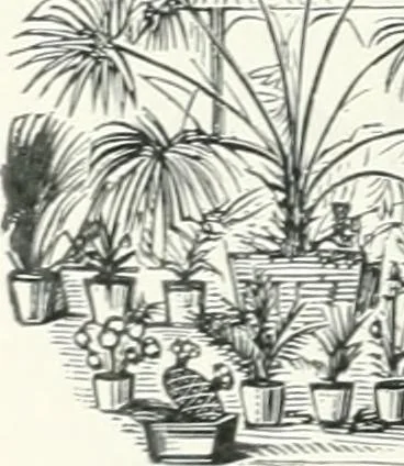 An illustration from Fifty years of Odd Fellowship in California : commemorating the founding of the Order by the instituting of California Lodge No. 1, on September ninth, eighteen hundred and forty-nine, 1899, leaf 102