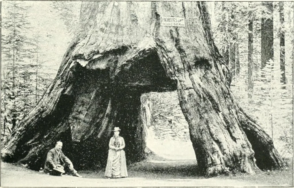 An illustration from Fifty years of Odd Fellowship in California : commemorating the founding of the Order by the instituting of California Lodge No. 1, on September ninth, eighteen hundred and forty-nine, 1899, leaf 189