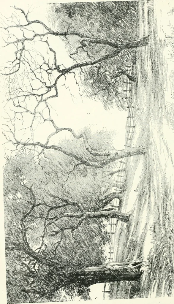 An illustration from Fifty years of Odd Fellowship in California : commemorating the founding of the Order by the instituting of California Lodge No. 1, on September ninth, eighteen hundred and forty-nine, 1899, leaf 222