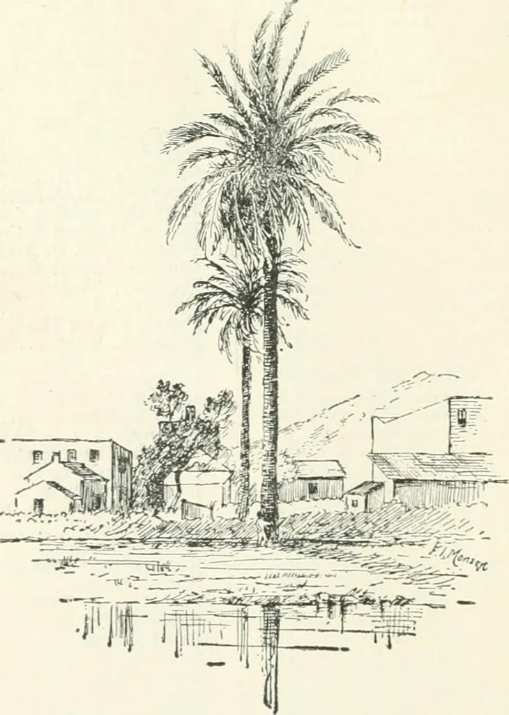An illustration from Fifty years of Odd Fellowship in California : commemorating the founding of the Order by the instituting of California Lodge No. 1, on September ninth, eighteen hundred and forty-nine, 1899, leaf 356