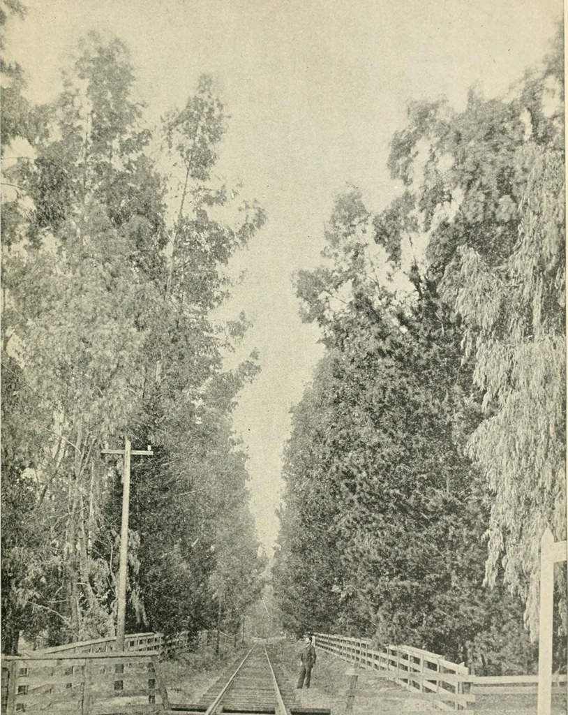 An illustration from Fifty years of Odd Fellowship in California : commemorating the founding of the Order by the instituting of California Lodge No. 1, on September ninth, eighteen hundred and forty-nine, 1899, leaf 359
