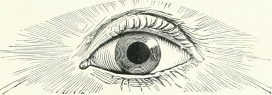 An illustration from Fifty years of Odd Fellowship in California : commemorating the founding of the Order by the instituting of California Lodge No. 1, on September ninth, eighteen hundred and forty-nine, 1899, leaf 9