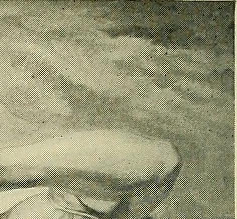 An illustration from Fifty years of work without wages : (laborare est orare), 1912, leaf 126