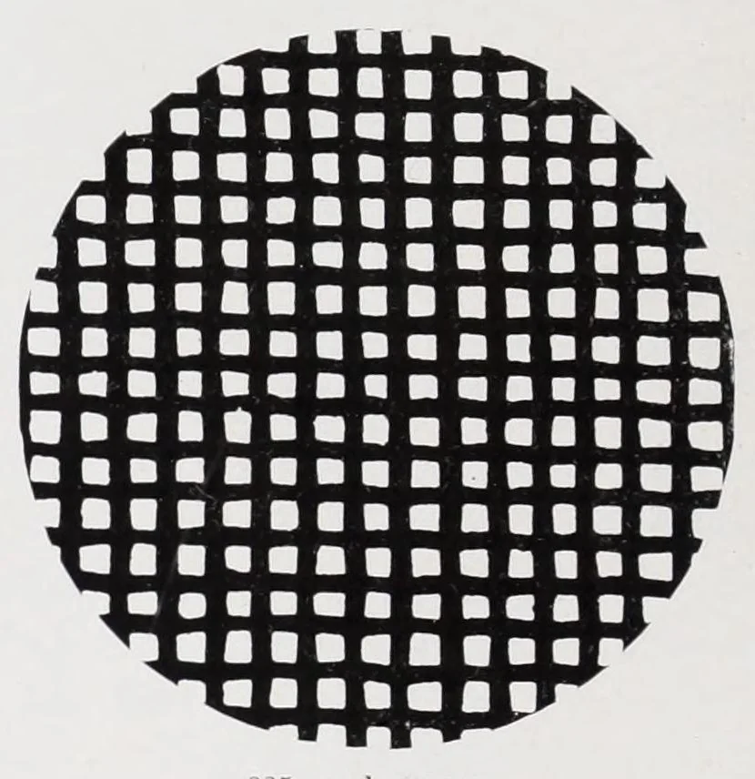 An illustration from Fighting rust with sublimed blue lead : an assembly of facts concerning the properties and uses of sublimed blue lead, 1923, leaf 36