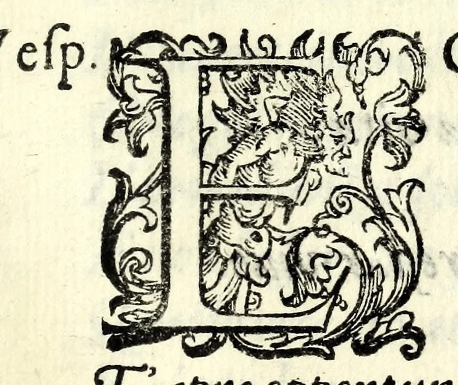 An illustration from Filarmindo : favola pastorale, 1605, leaf 201