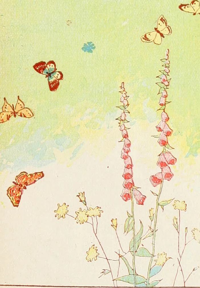 An illustration from Filles et ga, 1900, leaf 19