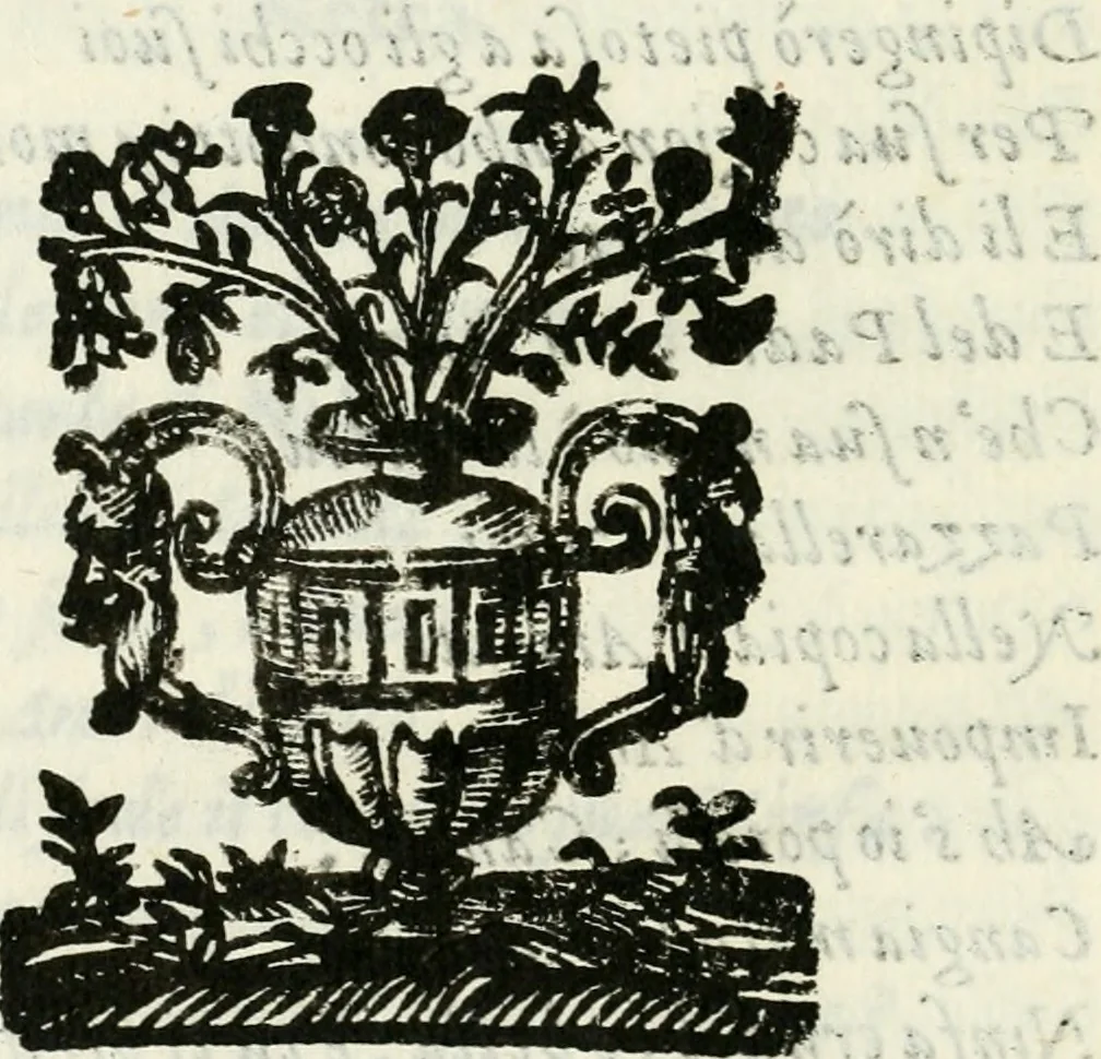 An illustration from Filli di Sciro : fauola pastorale, 1607, leaf 95