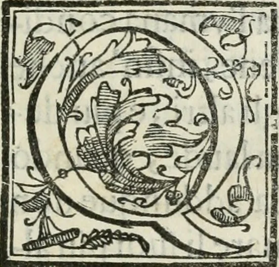 An illustration from Filli di Sciro : favola pastorale, 1607, leaf 8