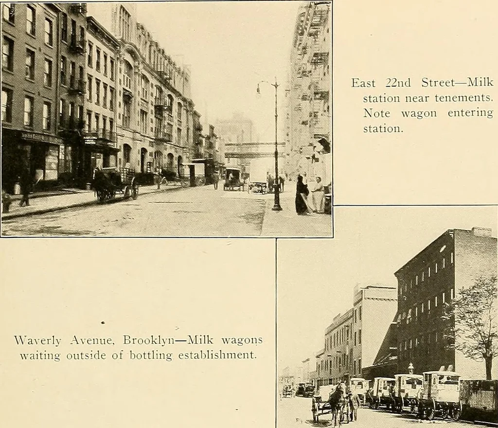 An illustration from Final report : June 2, 1916, 1916, leaf 298