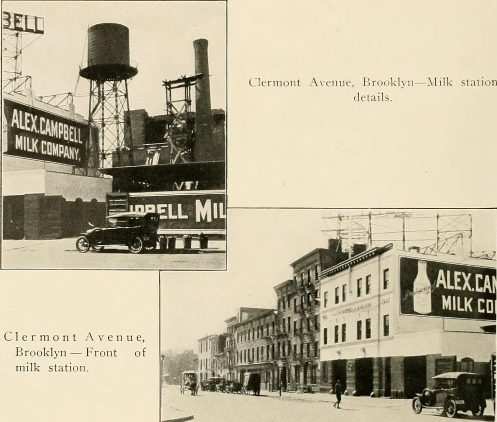 An illustration from Final report : June 2, 1916, 1916, leaf 299