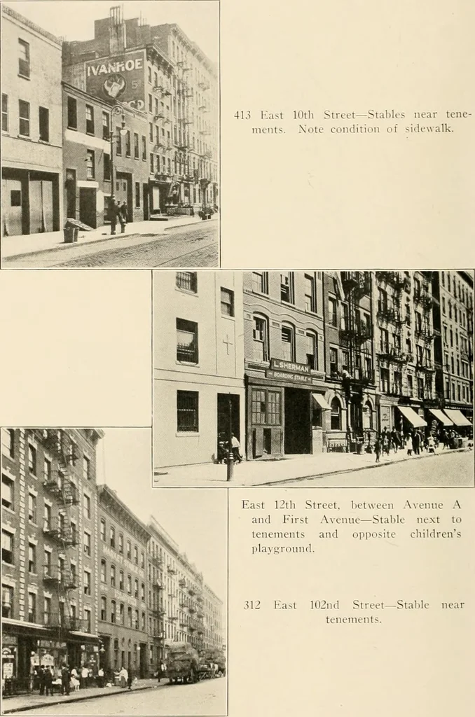 An illustration from Final report : June 2, 1916, 1916, leaf 301