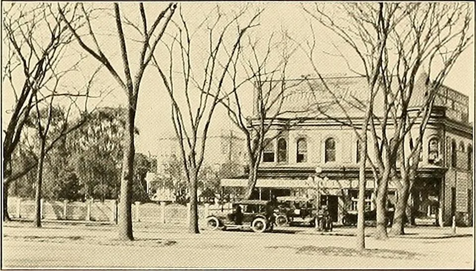An illustration from Final report : June 2, 1916, 1916, leaf 302