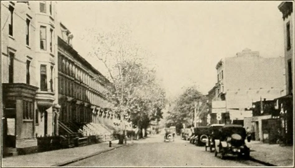 An illustration from Final report : June 2, 1916, 1916, leaf 303