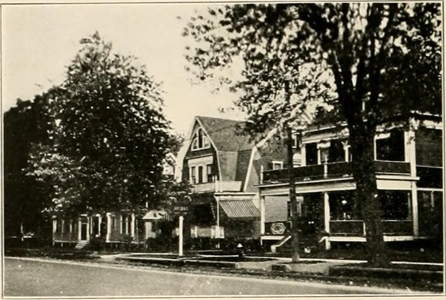 An illustration from Final report : June 2, 1916, 1916, leaf 311