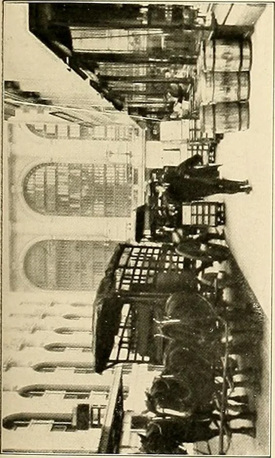 An illustration from Final report : June 2, 1916, 1916, leaf 314