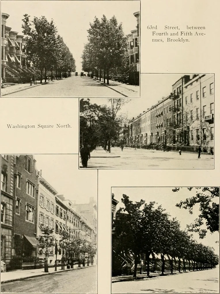 An illustration from Final report : June 2, 1916, 1916, leaf 321