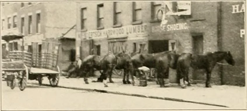 An illustration from Final report : June 2, 1916, 1916, leaf 329