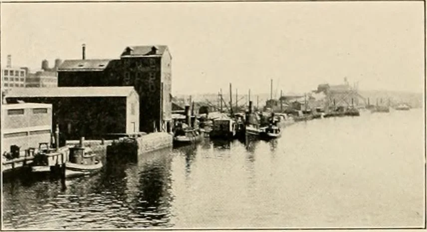 An illustration from Final report : June 2, 1916, 1916, leaf 331