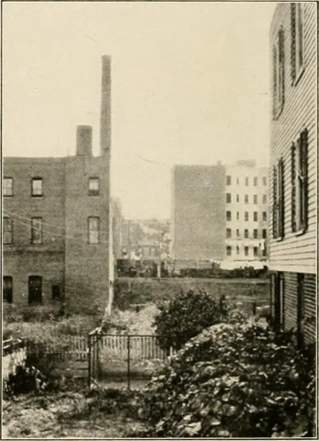 An illustration from Final report : June 2, 1916, 1916, leaf 335