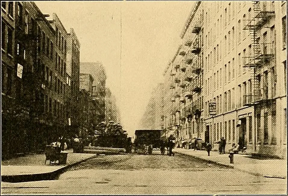An illustration from Final report : June 2, 1916, 1916, leaf 48