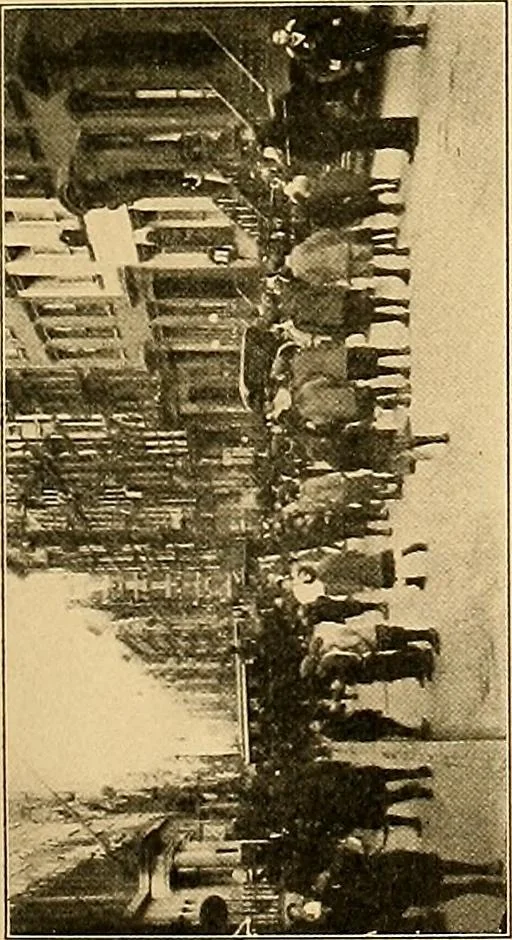 An illustration from Final report : June 2, 1916, 1916, leaf 54