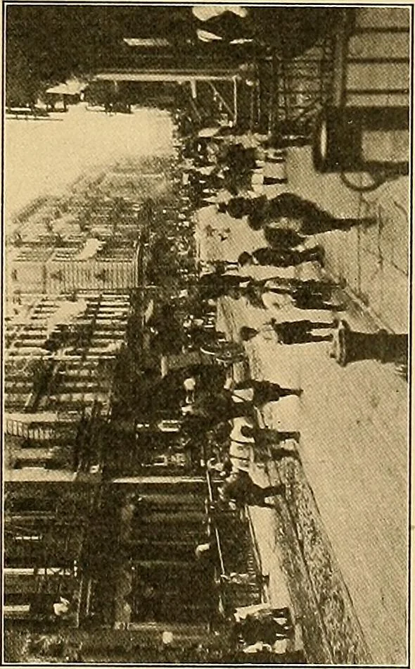 An illustration from Final report : June 2, 1916, 1916, leaf 54