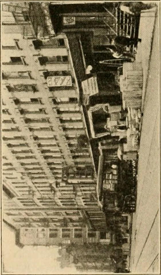 An illustration from Final report : June 2, 1916, 1916, leaf 61