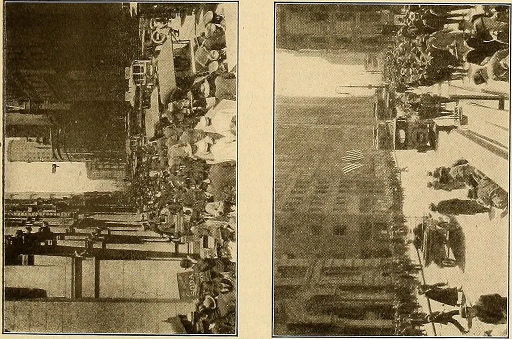 An illustration from Final report : June 2, 1916, 1916, leaf 80