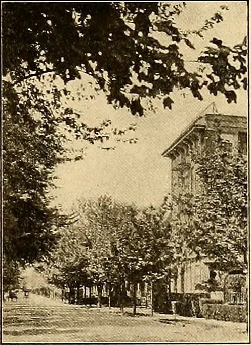 An illustration from Final report : June 2, 1916, 1916, leaf 86