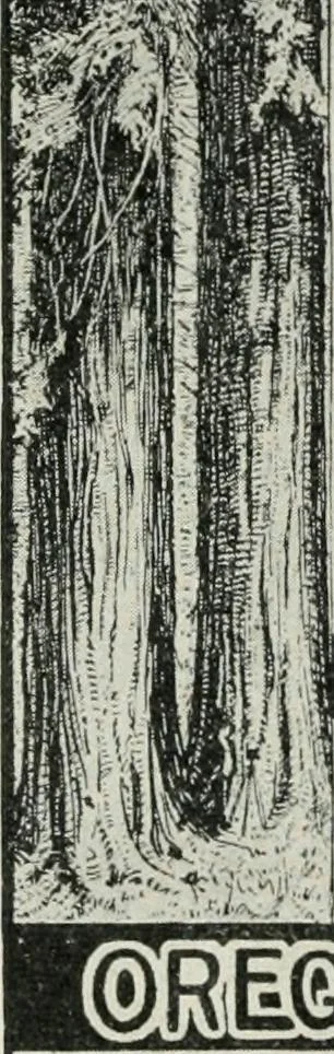 An illustration from Financial advertising, for commercial and savings banks, trust, title insurance, and safe deposit companies, investment houses, 1908, leaf 542