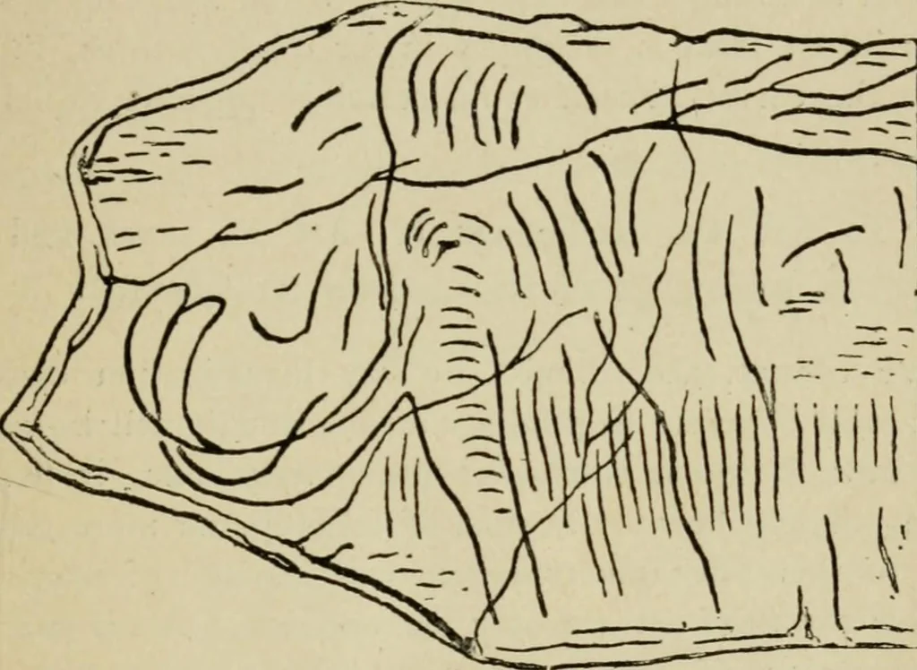 An illustration from The fine arts, 1901, leaf 24