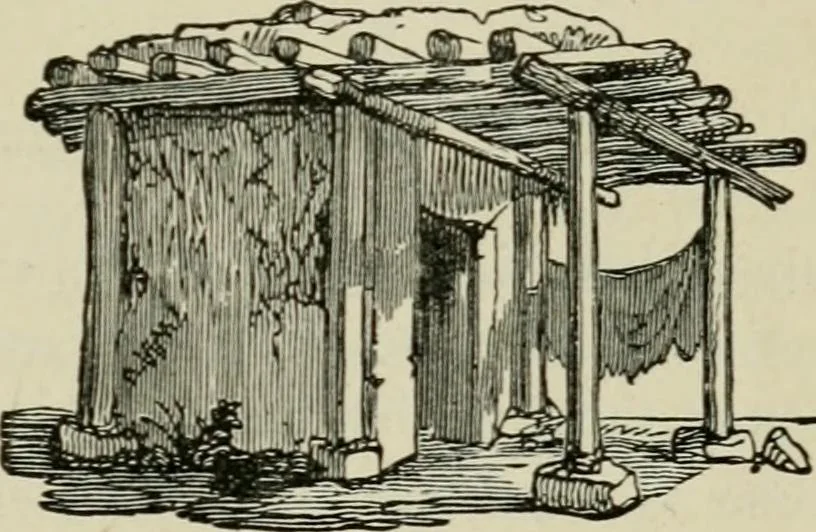 An illustration from The fine arts, 1901, leaf 254