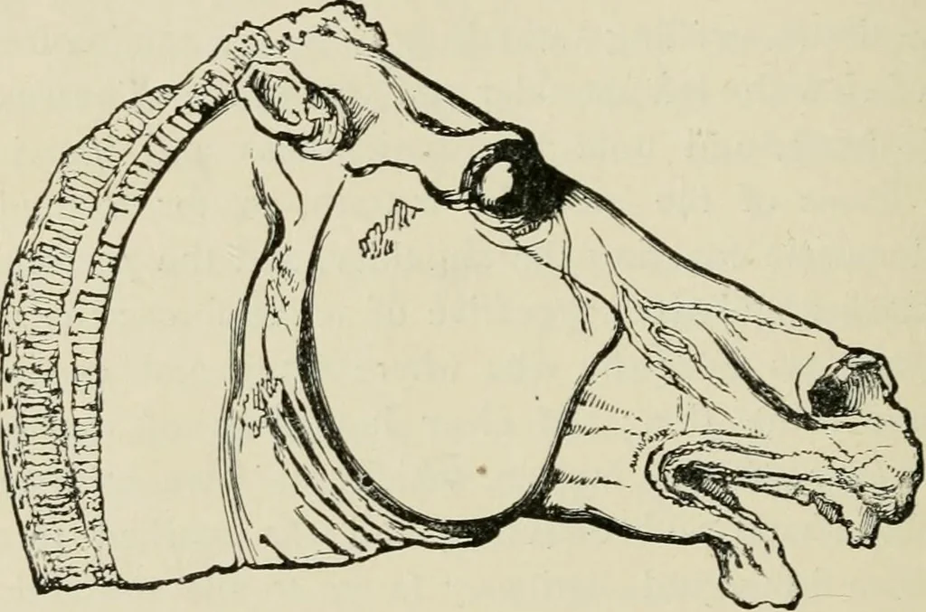 An illustration from The fine arts, 1901, leaf 289