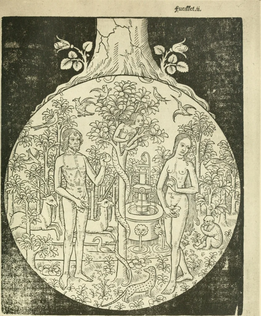 An illustration from Fine books, 1912, leaf 205