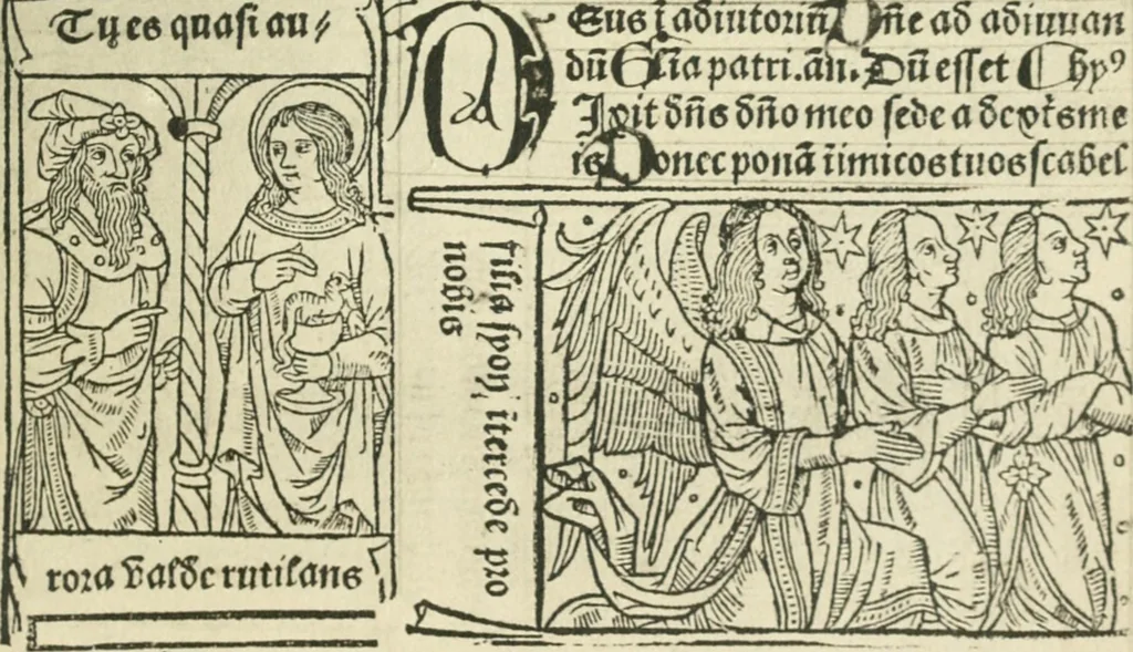 An illustration from Fine books, 1912, leaf 209