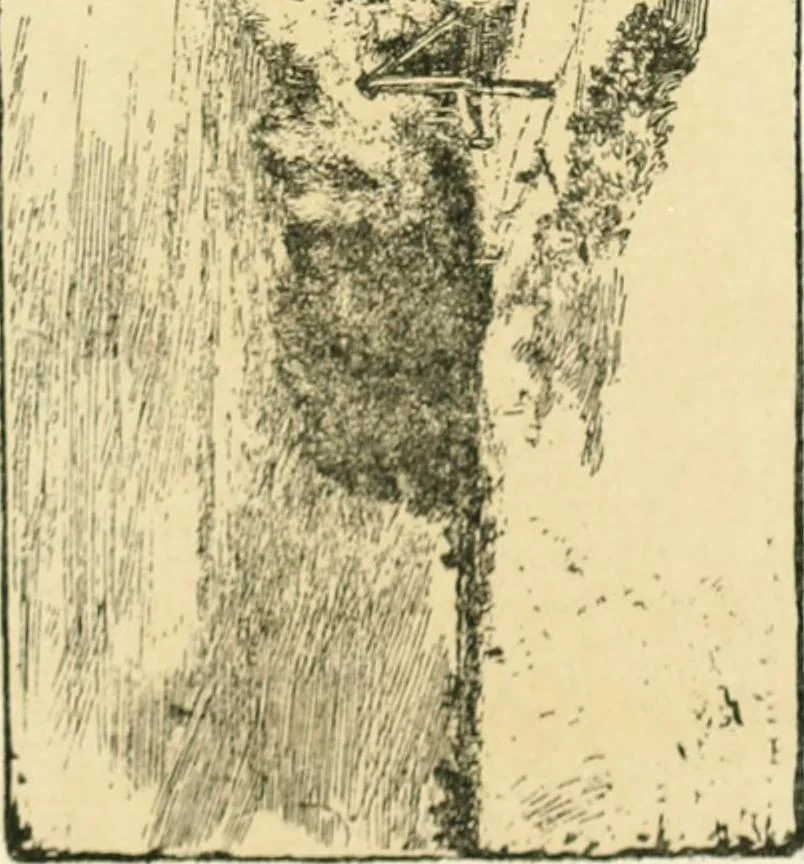 An illustration from Fine prints, 1897, leaf 61