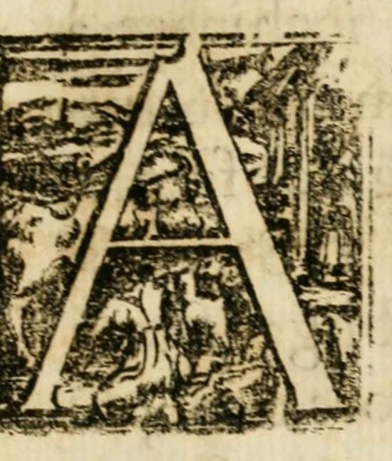 An illustration from Finezze d'affetto col più viuo del cuore : offerte à Maria Vergine dalli pii confratelli dell'immacolata Concettione, nella pompa maestosa nella coronatione di Maria Vergine, fatta in Reggio li 13. maggio 1674 sotto il priorato del sig. c. Franc.o Pegolotti .., 1674, leaf 7