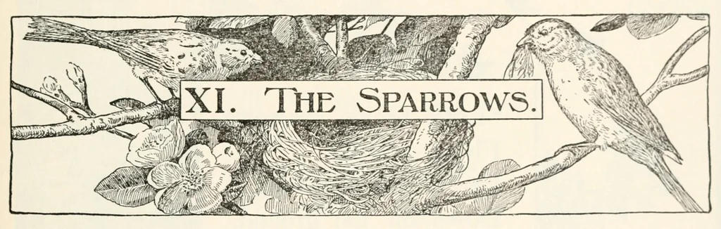 An illustration from Finger plays for nursery and kindergarten, 1893, leaf 59