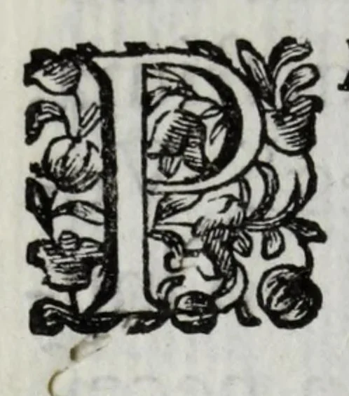 An illustration from Fiori d'ingegno, composizioni in lode d'vna bellissima effigie di Primauera, opera del signor Carlo Marati famoso pittore romano, appresso S.E. il signor Nicolò Michieli senatore veneto, 1685, leaf 14