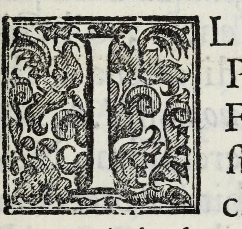 An illustration from Fiori d'ingegno, composizioni in lode d'vna bellissima effigie di Primauera, opera del signor Carlo Marati famoso pittore romano, appresso S.E. il signor Nicolò Michieli senatore veneto, 1685, leaf 9