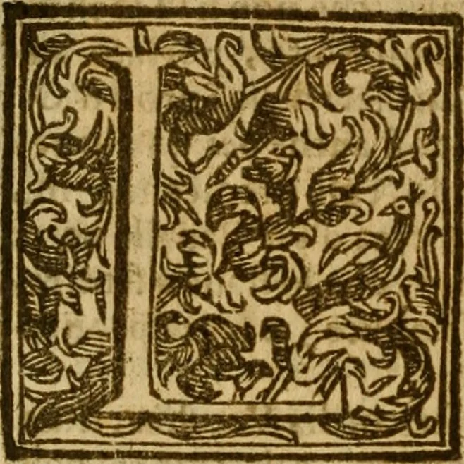An illustration from Firenze città nobilissima, 1684, leaf 107