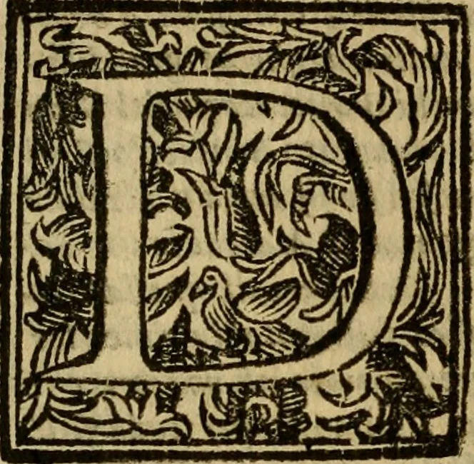 An illustration from Firenze città nobilissima, 1684, leaf 11