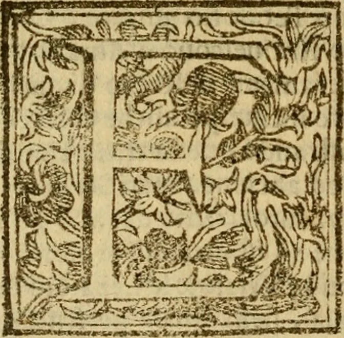 An illustration from Firenze città nobilissima, 1684, leaf 141