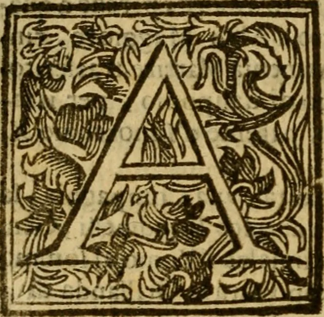 An illustration from Firenze città nobilissima, 1684, leaf 181
