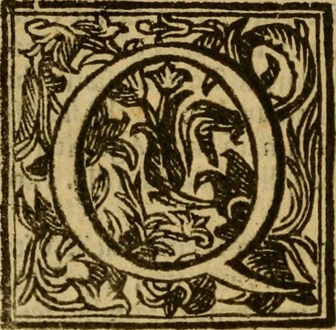 An illustration from Firenze città nobilissima, 1684, leaf 235